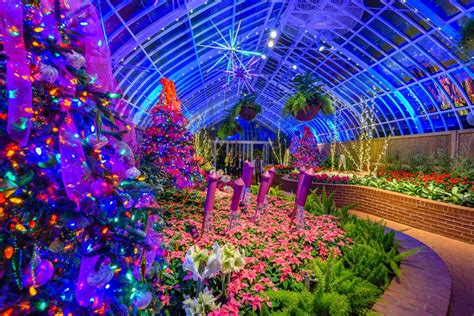 phipps conservatory holiday lights 2022